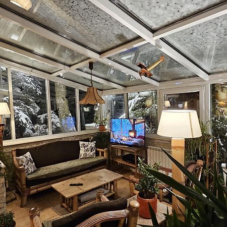Boutique Hotel Forest Retreat (Adults Only) Buşteni Eksteriør bilde