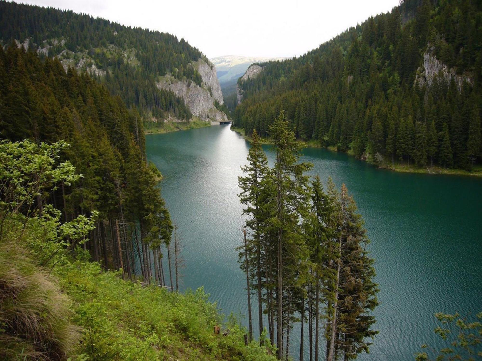 Boutique Hotel Forest Retreat (Adults Only) Buşteni Rom bilde