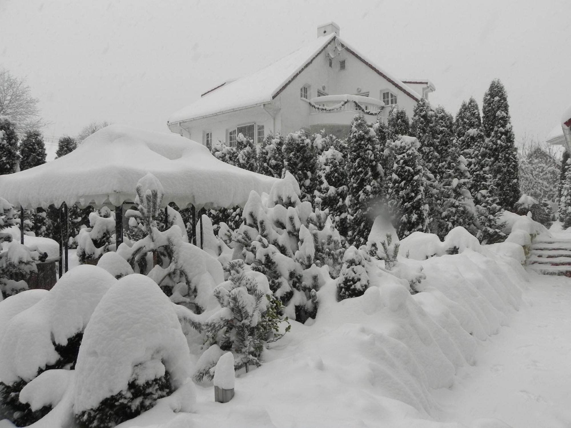 Boutique Hotel Forest Retreat (Adults Only) Buşteni Eksteriør bilde