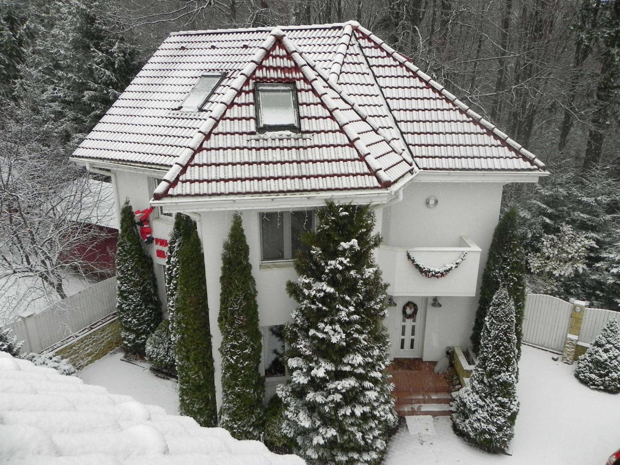 Boutique Hotel Forest Retreat (Adults Only) Buşteni Eksteriør bilde