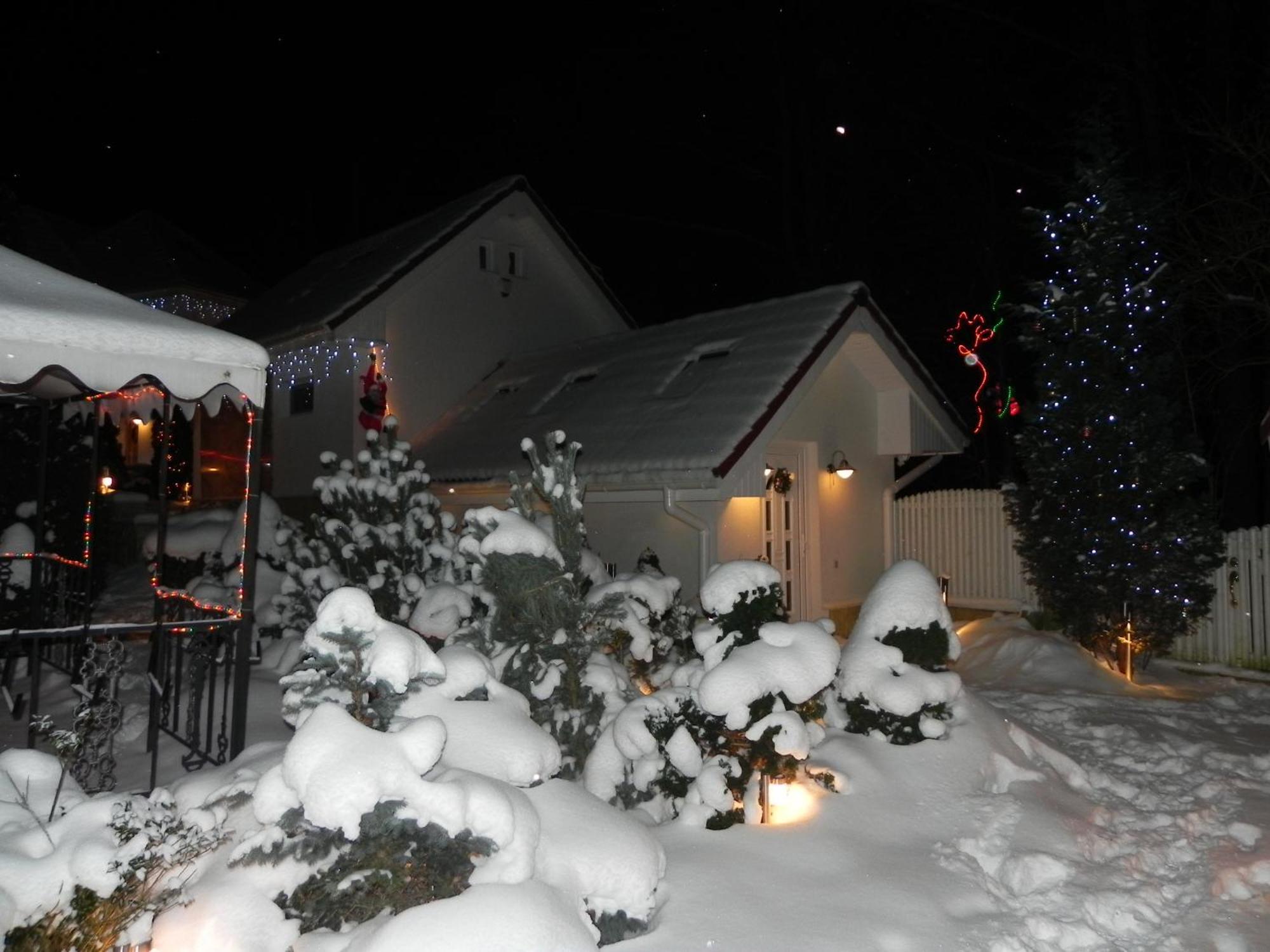 Boutique Hotel Forest Retreat (Adults Only) Buşteni Eksteriør bilde