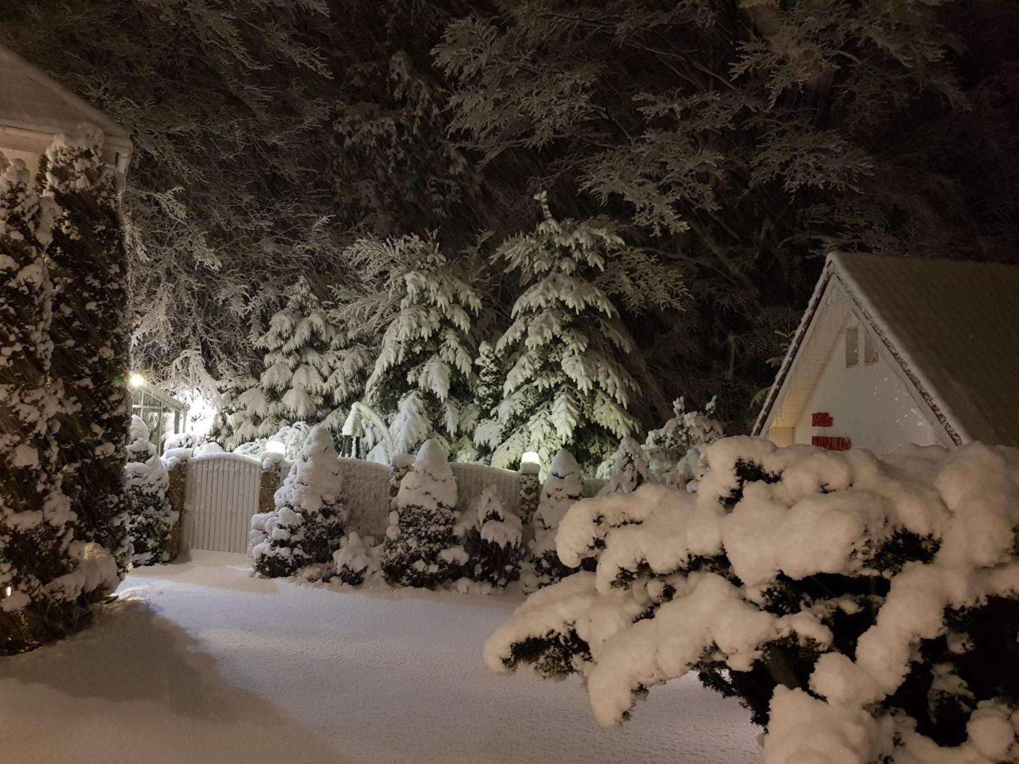 Boutique Hotel Forest Retreat (Adults Only) Buşteni Eksteriør bilde