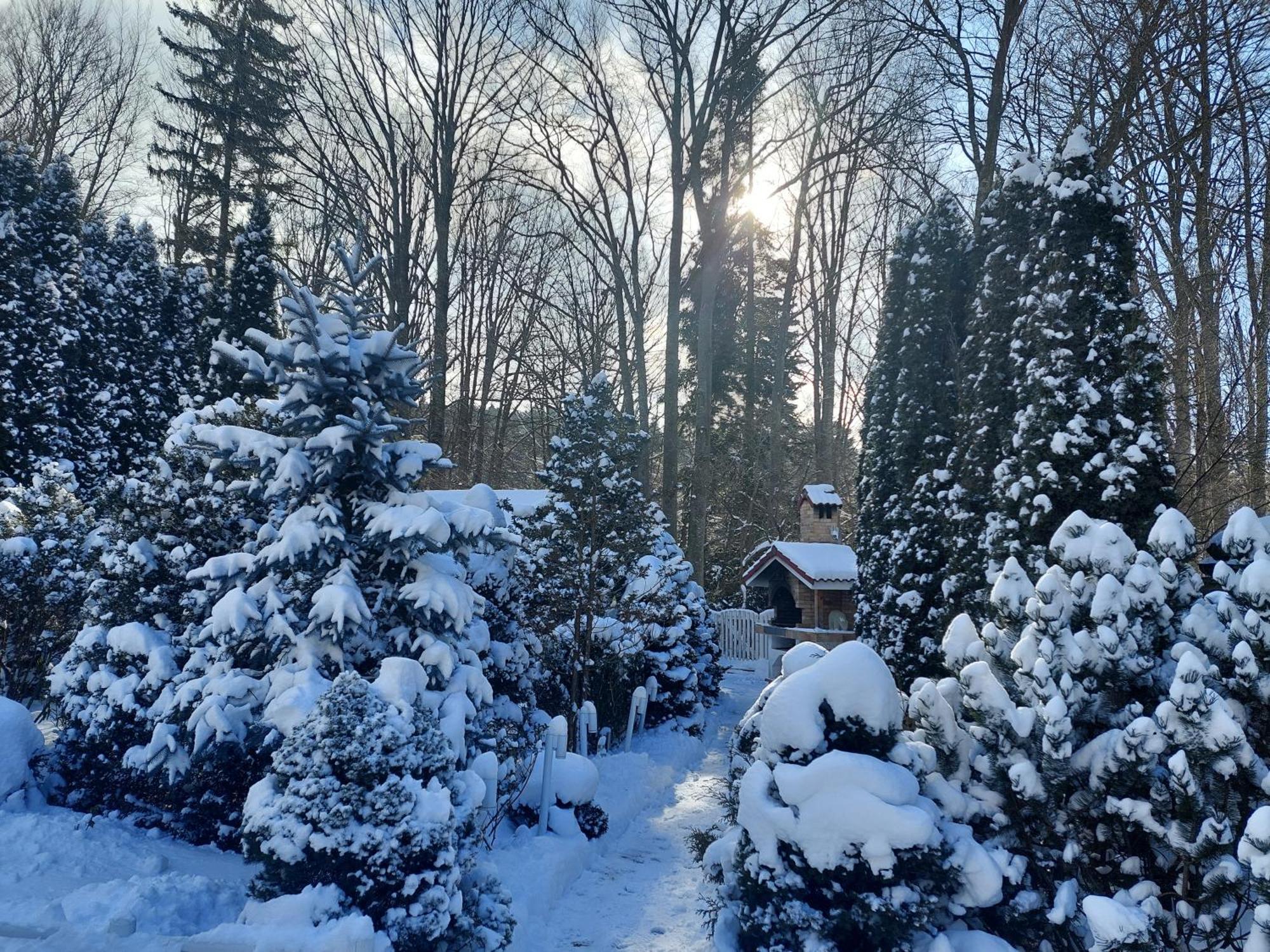 Boutique Hotel Forest Retreat (Adults Only) Buşteni Eksteriør bilde