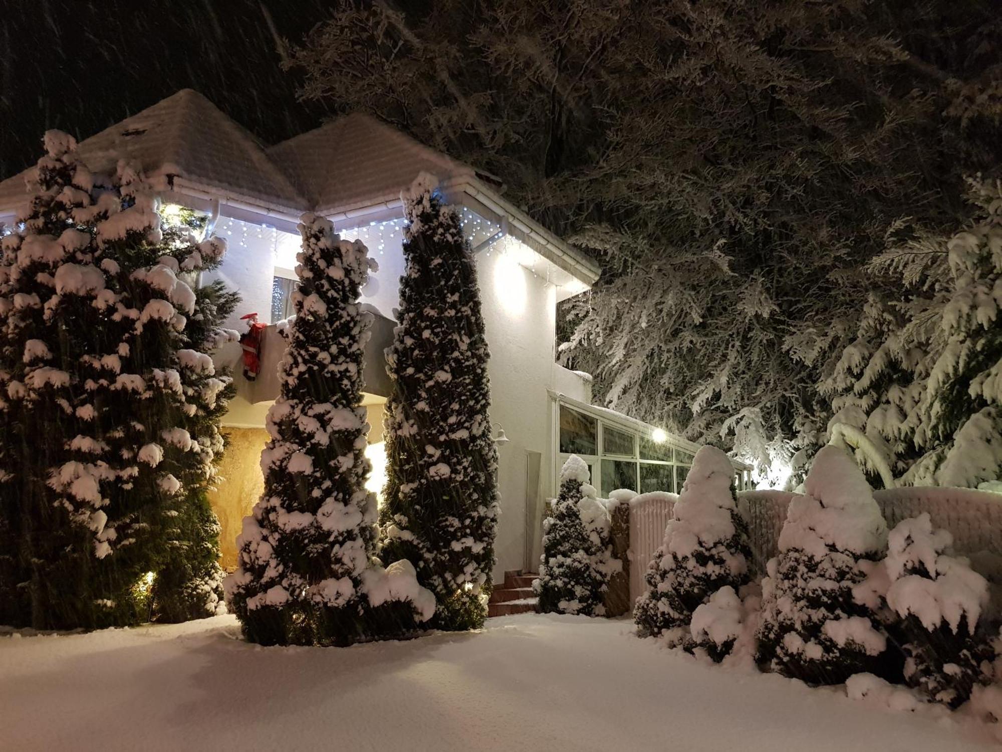 Boutique Hotel Forest Retreat (Adults Only) Buşteni Eksteriør bilde