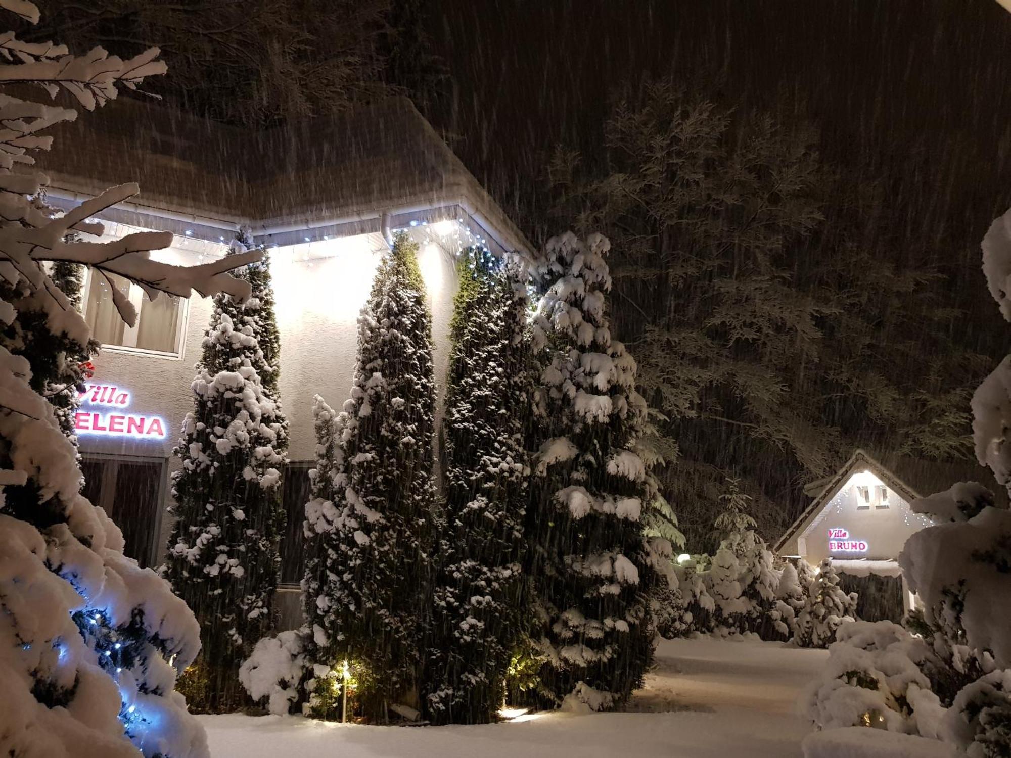Boutique Hotel Forest Retreat (Adults Only) Buşteni Eksteriør bilde