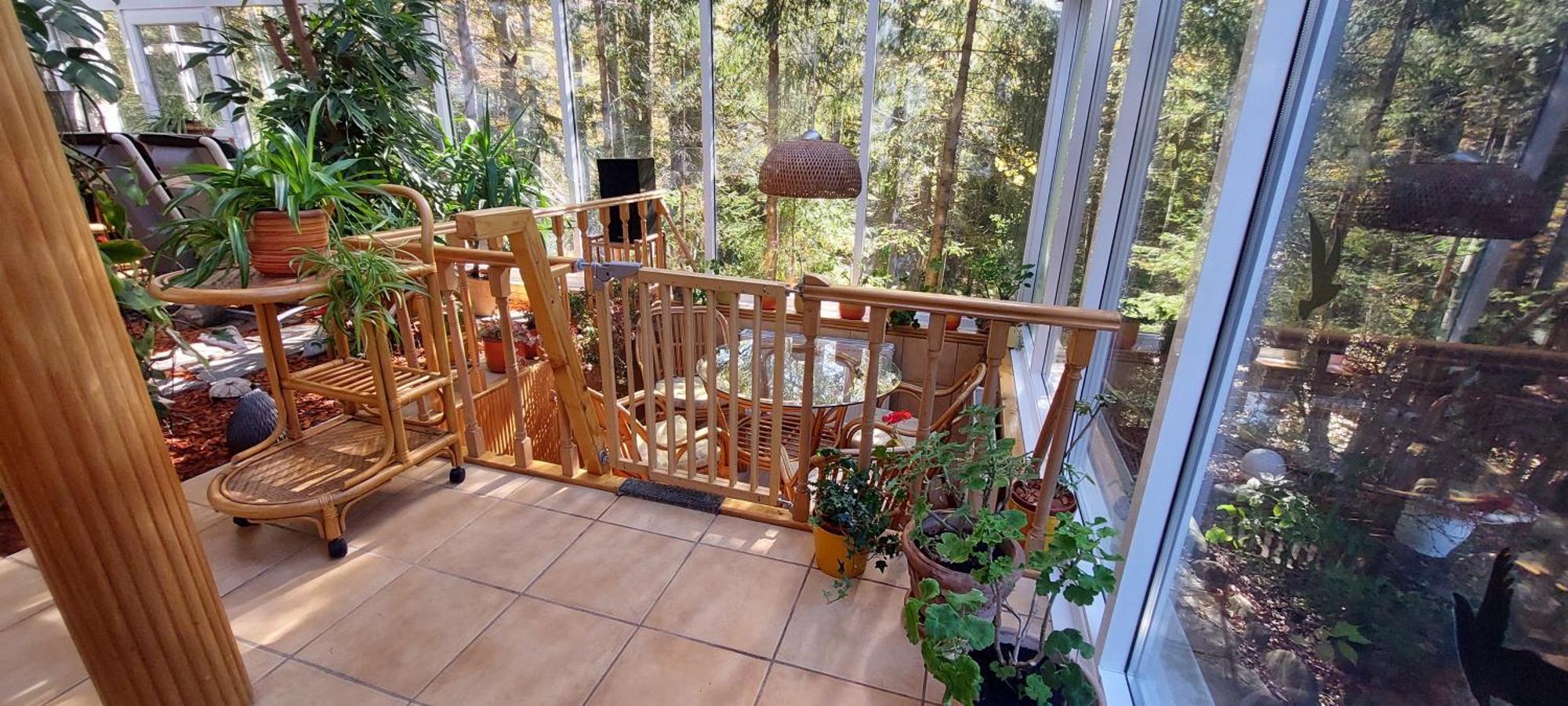 Boutique Hotel Forest Retreat (Adults Only) Buşteni Eksteriør bilde
