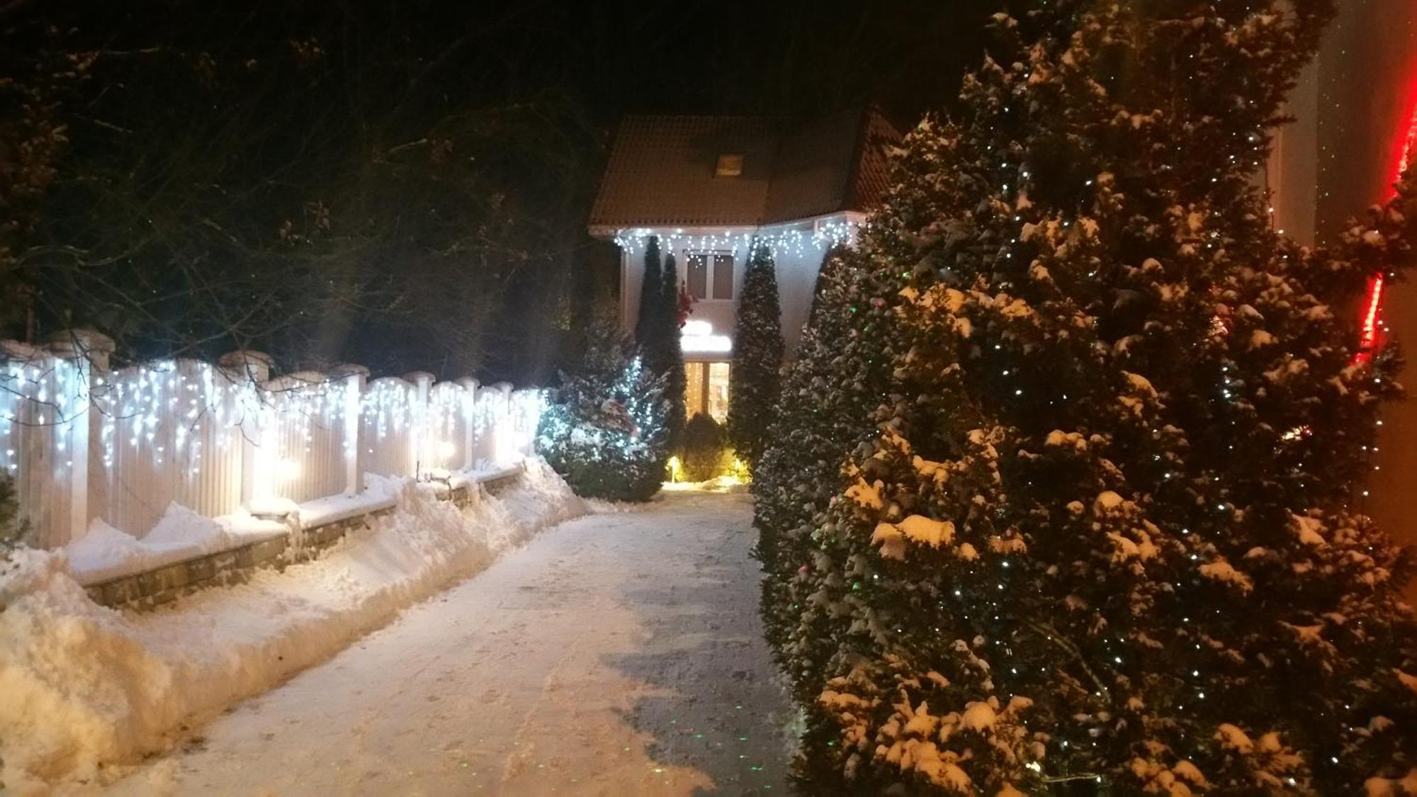 Boutique Hotel Forest Retreat (Adults Only) Buşteni Eksteriør bilde