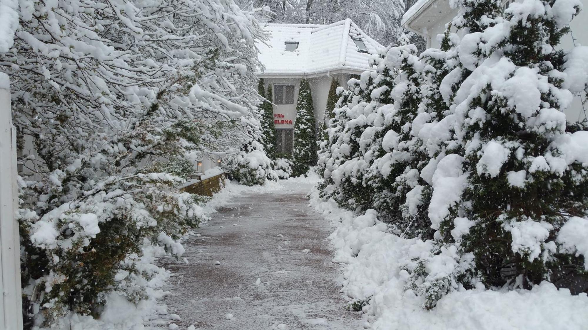 Boutique Hotel Forest Retreat (Adults Only) Buşteni Eksteriør bilde