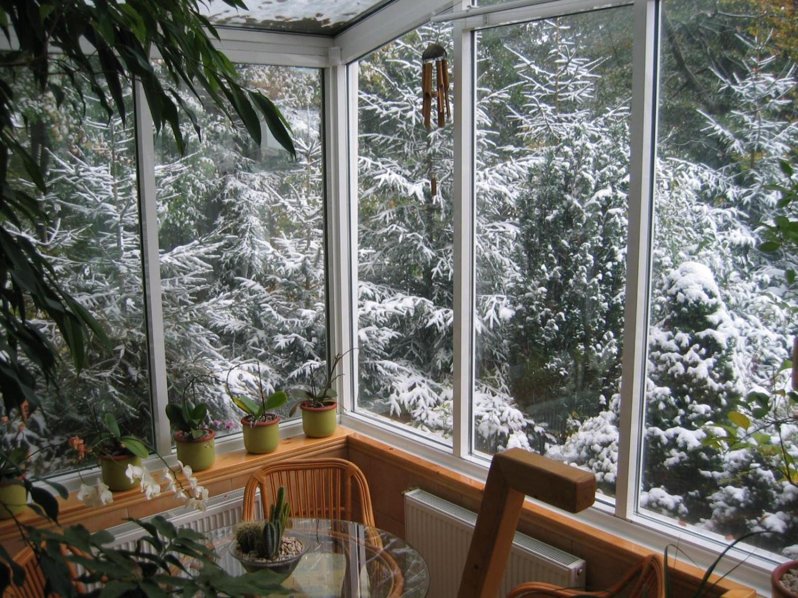 Boutique Hotel Forest Retreat (Adults Only) Buşteni Eksteriør bilde