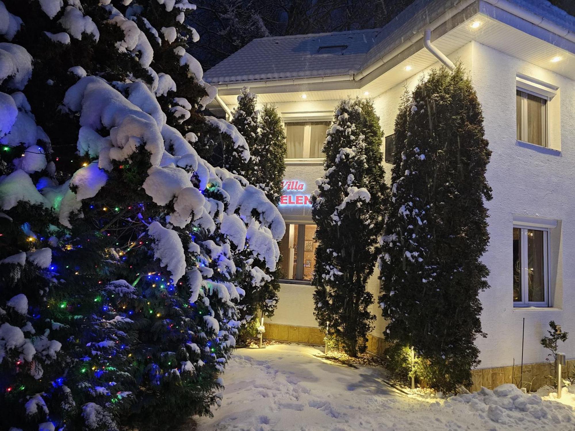 Boutique Hotel Forest Retreat (Adults Only) Buşteni Eksteriør bilde