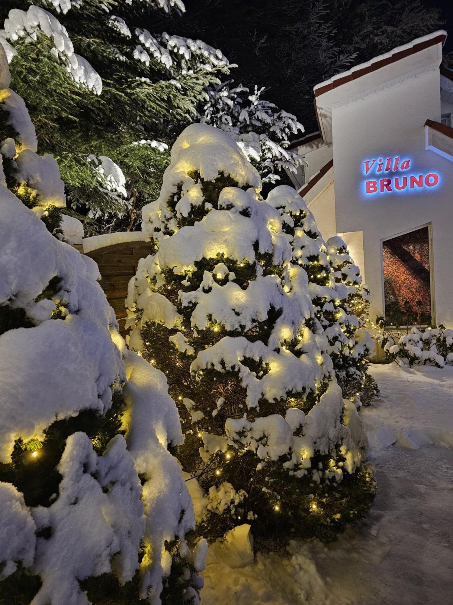 Boutique Hotel Forest Retreat (Adults Only) Buşteni Eksteriør bilde