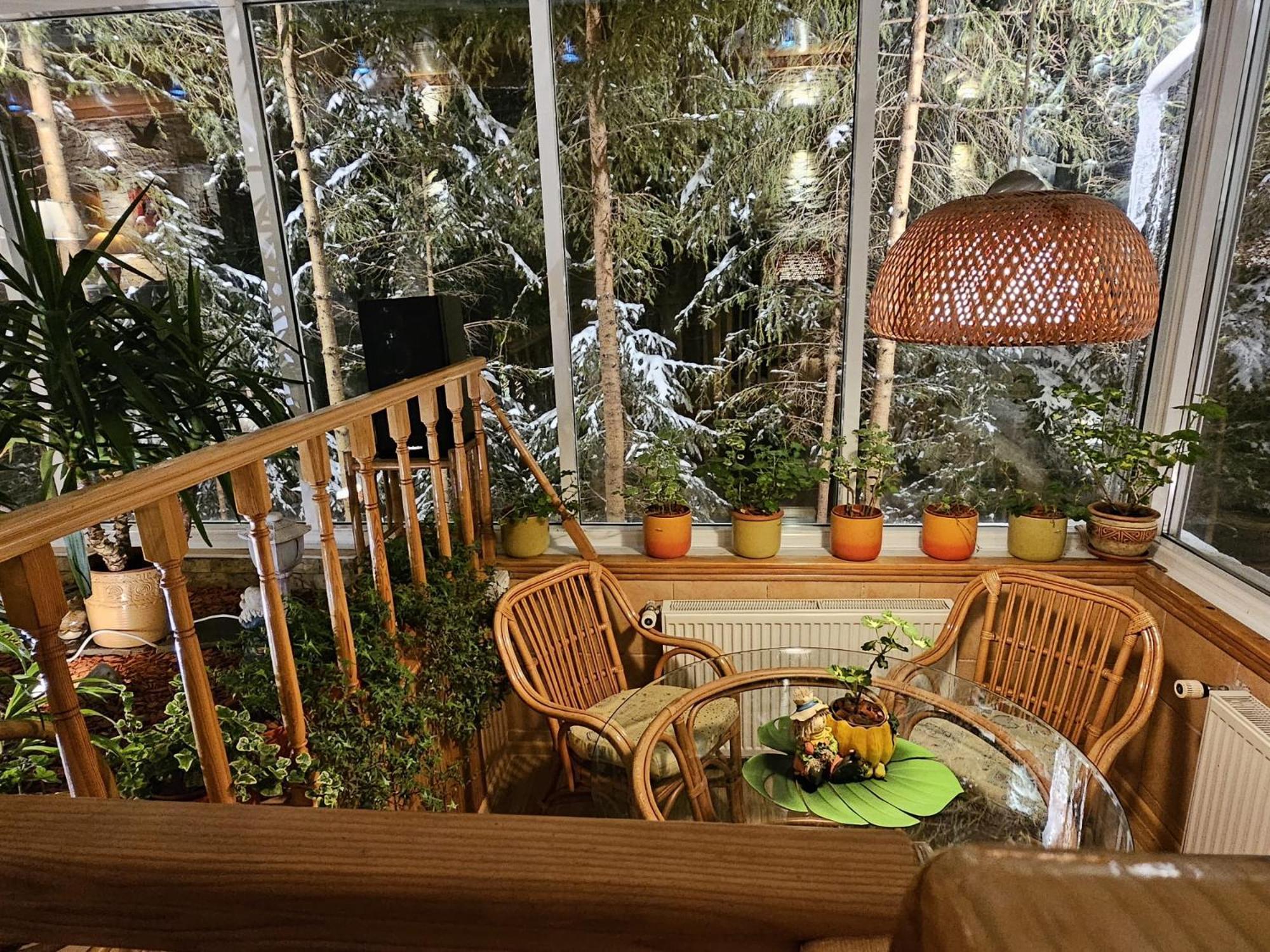 Boutique Hotel Forest Retreat (Adults Only) Buşteni Eksteriør bilde