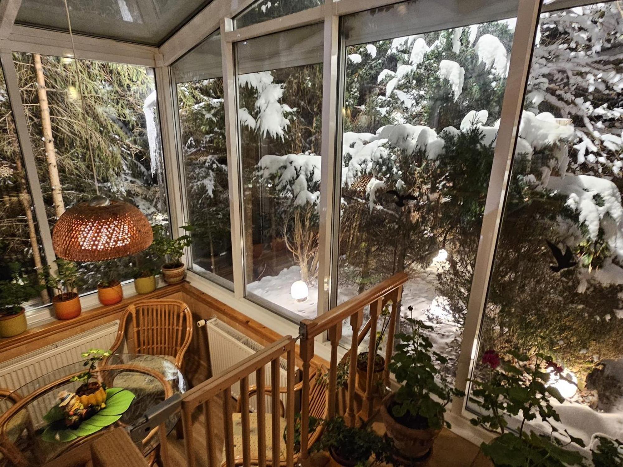 Boutique Hotel Forest Retreat (Adults Only) Buşteni Eksteriør bilde